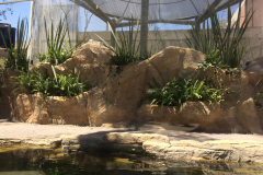 1_thumbnail_IMG_0601
