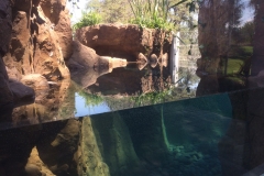 thumbnail_IMG_0536