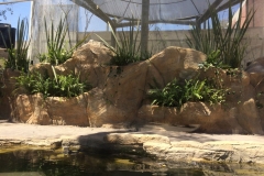 thumbnail_IMG_0601