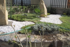 IMG_1013
