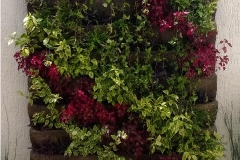 MURO VERDE