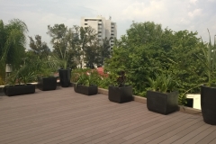 WP_20150707_002